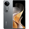 Смартфон Vivo V40 12GB/256GB международная версия (титановый серебристый)