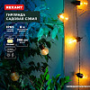 Садовая гирлянда Rexant Сэвил 602-2420