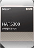 Жесткий диск Synology HAT5300 20TB HAT5310-20T