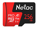 Карта памяти Netac P500 Extreme Pro 256GB NT02P500PRO-256G-S
