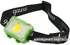 Фонарь Gauss GFL305