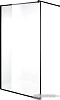Душевая стенка Niagara NG-687-10 100x195 (черный)