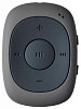 MP3 плеер Digma C2LG (серый) [367272]