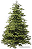 Ель National Tree Company Таежная ТЖ-180 180 см